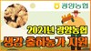 [유튜브] 생강 재배농가 교육 및 종자공급